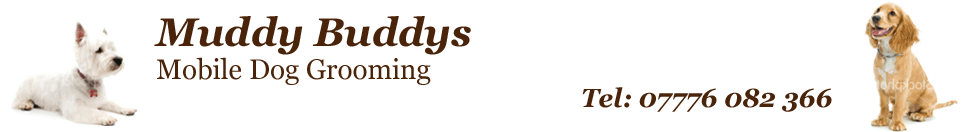 Muddy Buddys Dog Grooming
